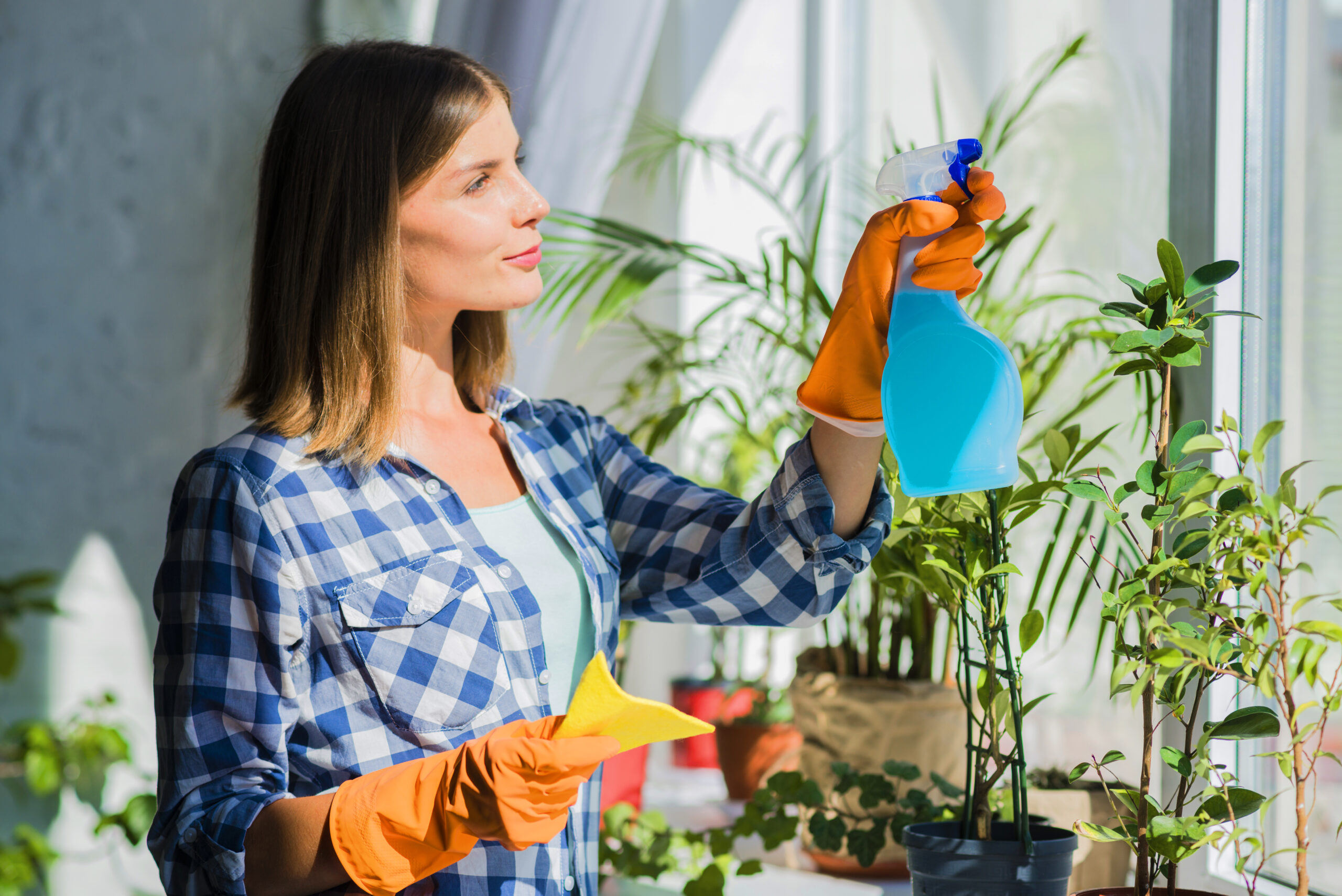 The Best Quality Window Cleaning Services